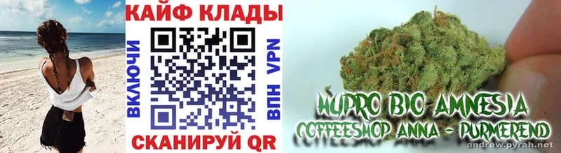 Купить наркоту Чегем Галлюциногенные грибы СОЛЬ МЕФ Гашиш