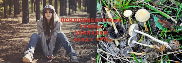 jwh Абаза