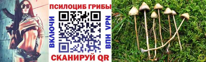 Галлюциногенные грибы ЛСД  Чегем 